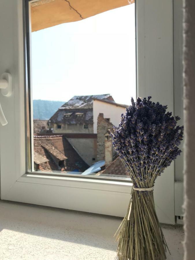 Casa Otto